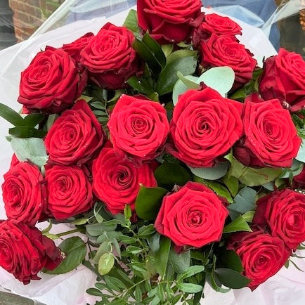 Luxurious Naomi Red Red Roses